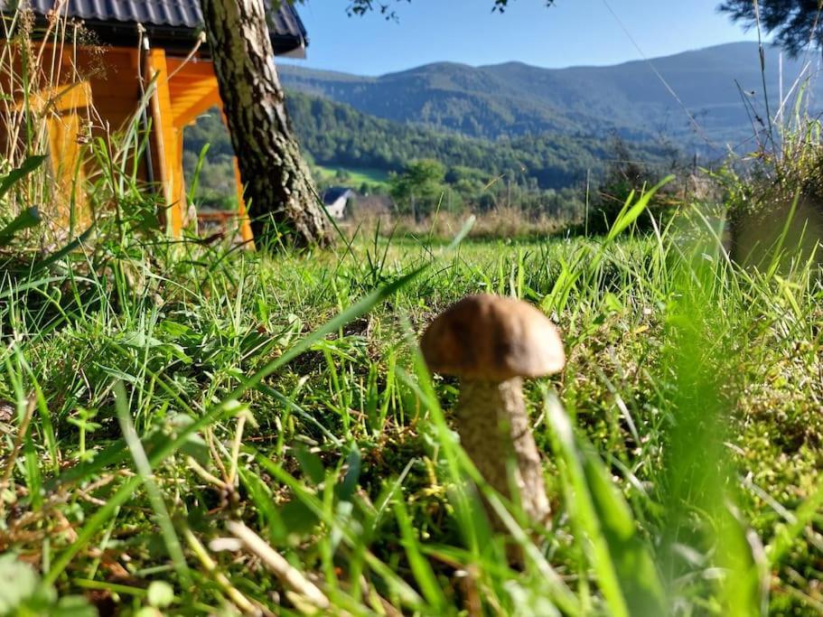 Panorama Sucha Gora ,Lesny Domek Skawica  Exterior photo